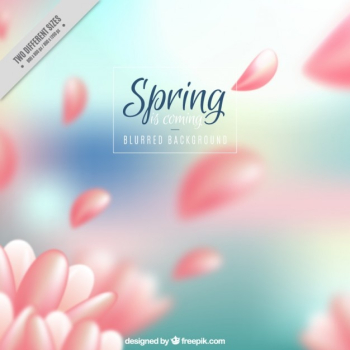 Petals blurred background Petals blurred background