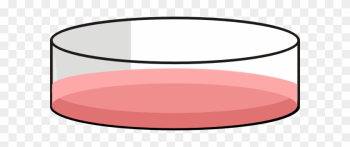 Petri Dish Cell Culture