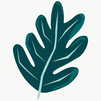 Philodendron xanadu leaf element transparent png | Free  transparent png - 2253580