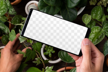 Phone png screen mockup in plant… | Free stock illustration | High Resolution graphic