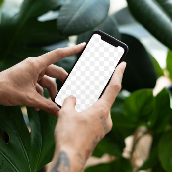 Phone png screen mockup in plant… | Free stock illustration | High Resolution graphic