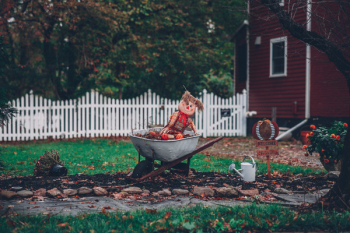 Photo of a Rag Doll on Wheelbarrow