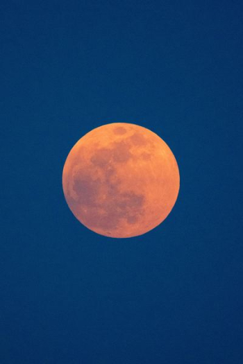 photo of bloody red moon photo of bloody red moon