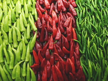 Photo of Chili Peppers Photo of Chili Peppers