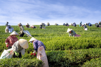 Photo Of Farmers During Daytime Photo Of Farmers During Daytime