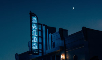 photo of Gatos neon light signage photo of Gatos neon light signage