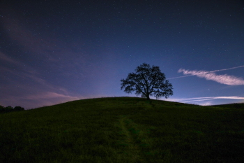 Photo of Grass Field During Evening Photo of Grass Field During Evening