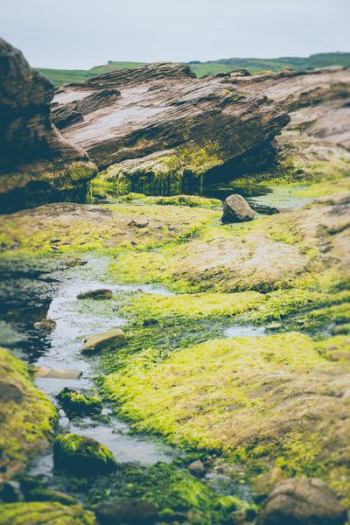 photo of green algae on rock formations photo of green algae on rock formations