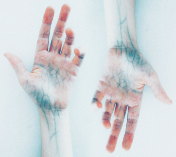 Photo of Hands with blue veins Photo of Hands with blue veins