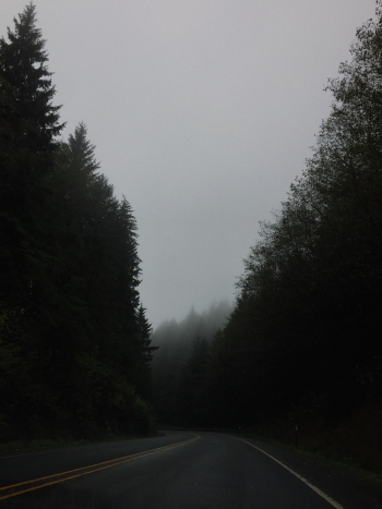 Photo of Highway Near Trees Photo of Highway Near Trees