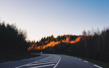 Photo of Highway Near Trees Photo of Highway Near Trees