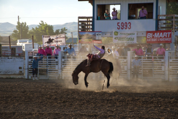 Photo of Man Doing Rodeo Photo of Man Doing Rodeo