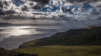 Photo of Ocean Under Cloudy Sky Photo of Ocean Under Cloudy Sky
