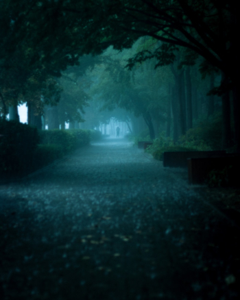 Photo of Pathway Surrounded by Trees While Raining Photo of Pathway Surrounded by Trees While Raining