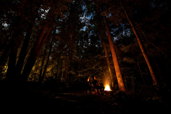 Photo of People Camping in Forest