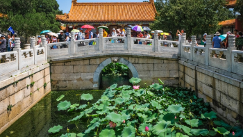 Photo of People Near Pond With Water Lilies Photo of People Near Pond With Water Lilies