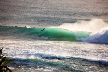 Photo of People Surfboarding Photo of People Surfboarding