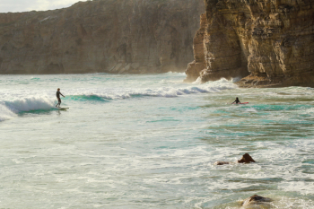 Photo of People Surfing Photo of People Surfing