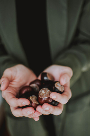 Photo of Person Holding Chestnuts Photo of Person Holding Chestnuts