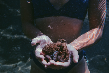 Photo of Person Holding Sea Animal Photo of Person Holding Sea Animal