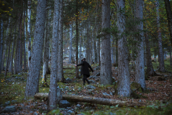 Photo of Person In Forest Photo of Person In Forest