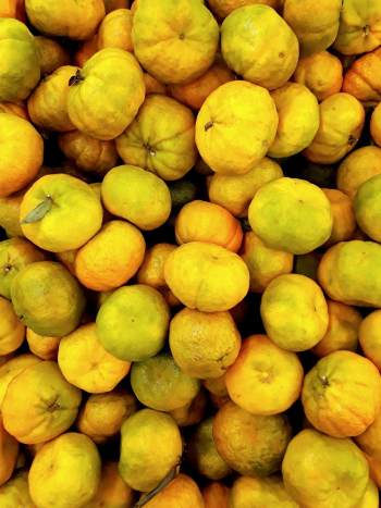 Photo of Pile Of Oranges