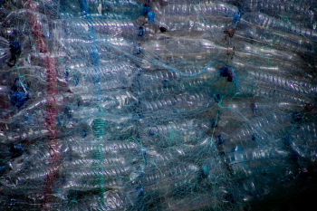 Photo of Plastic Bottles Photo of Plastic Bottles