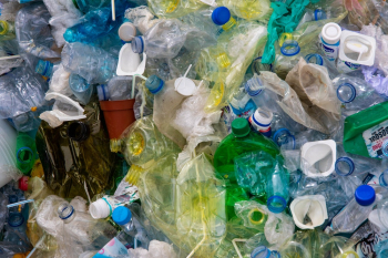 Photo of Plastic Bottles Photo of Plastic Bottles