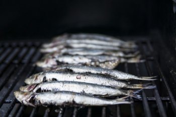 Photo of Raw Fish on Grill Photo of Raw Fish on Grill