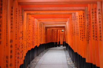 photo of red and black pathway passage photo of red and black pathway passage