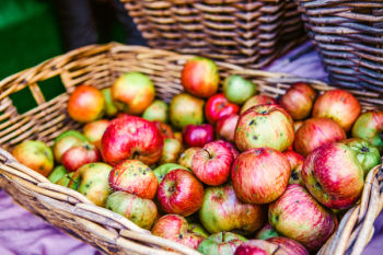 Photo of Red and Green Apples Photo of Red and Green Apples