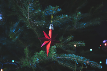 Photo of Red Christmas Tree Decor Photo of Red Christmas Tree Decor