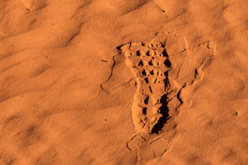 Photo of Right Footprint on Sand