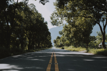 Photo of Road Near Trees Photo of Road Near Trees