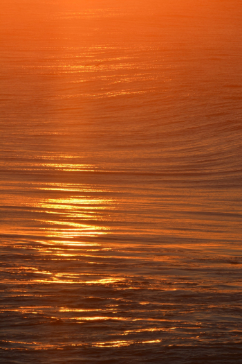 Photo of Sea During Golden Hour Photo of Sea During Golden Hour
