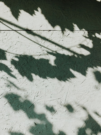 Photo of Shadows on Wall Photo of Shadows on Wall