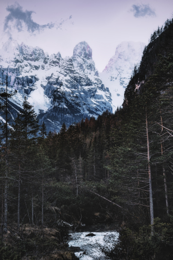 Photo of Snow Capped Mountains Near Forest Photo of Snow Capped Mountains Near Forest