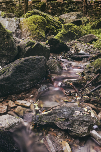 Photo of Stream Photo of Stream