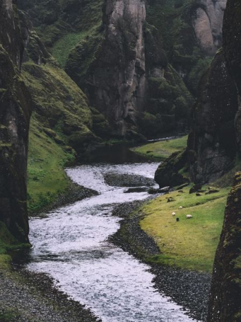 photo of stream photo of stream