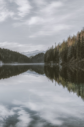Photo of Tranquil Lake Surrounded by Trees Photo of Tranquil Lake Surrounded by Trees
