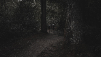 Photo of Two Person Standing Near Trees Photo of Two Person Standing Near Trees