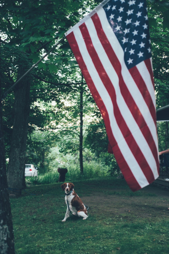 Photo of United States of America Flag Photo of United States of America Flag
