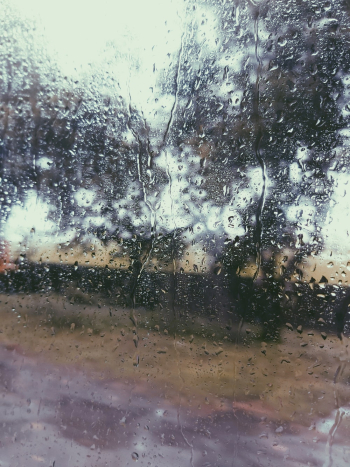 Photo of Water Drops on Window Photo of Water Drops on Window