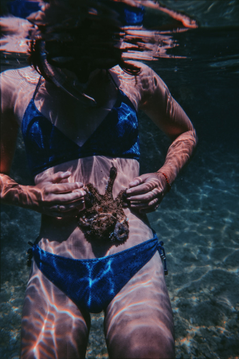Photo of Woman Holding Sea Animal Photo of Woman Holding Sea Animal