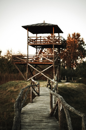 Photo of Wooden Bridge