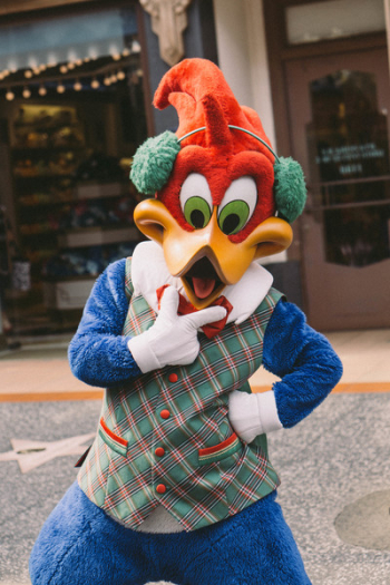 Photo of Woody Woodpecker Mascot Photo of Woody Woodpecker Mascot