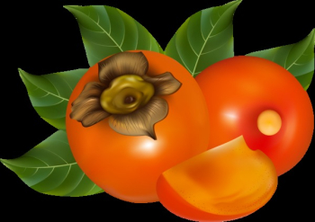 Photo-realistic vector illustration. Persimmon with leaves.
