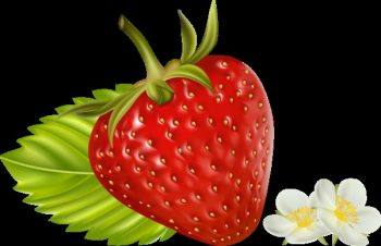 Photo-realistic vector illustration. Strawberry with flowers.
