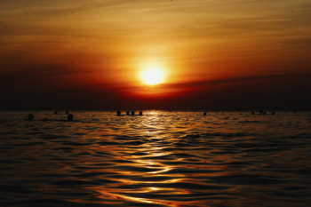 Photography of Beach Sunset