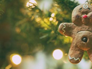 photography of gingerbread photography of gingerbread